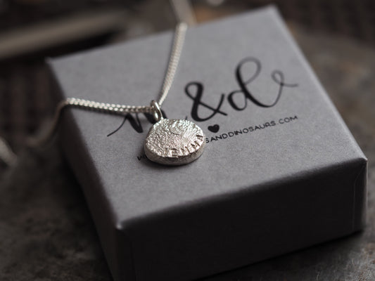 Silver necklace with a round pendant on a branded box