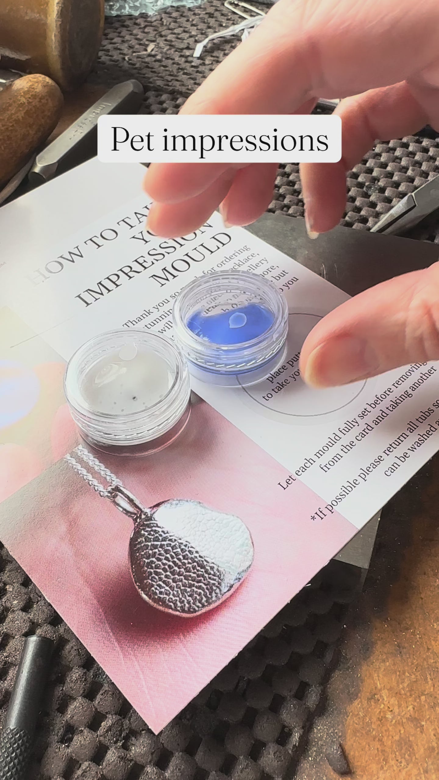 video showing how to take a pet nose impression